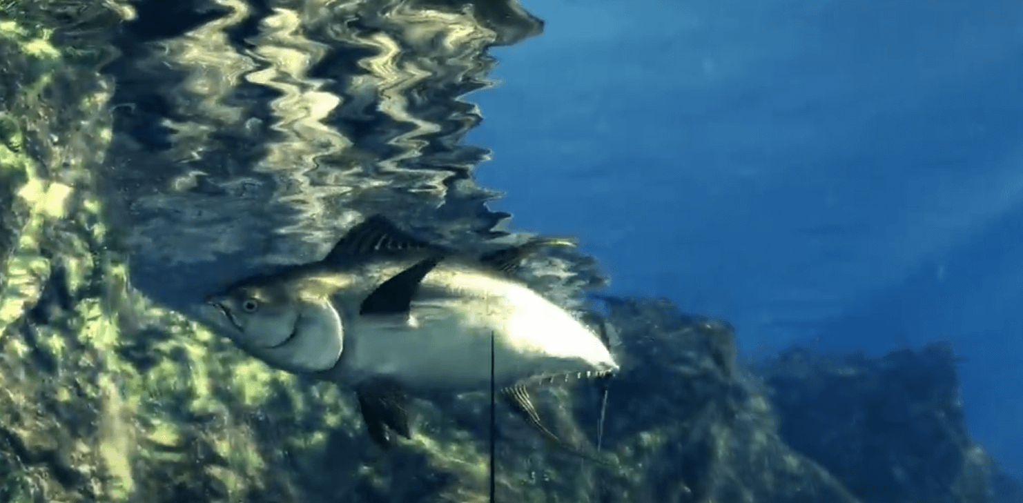 Depth Hunter 2 Deep Dive