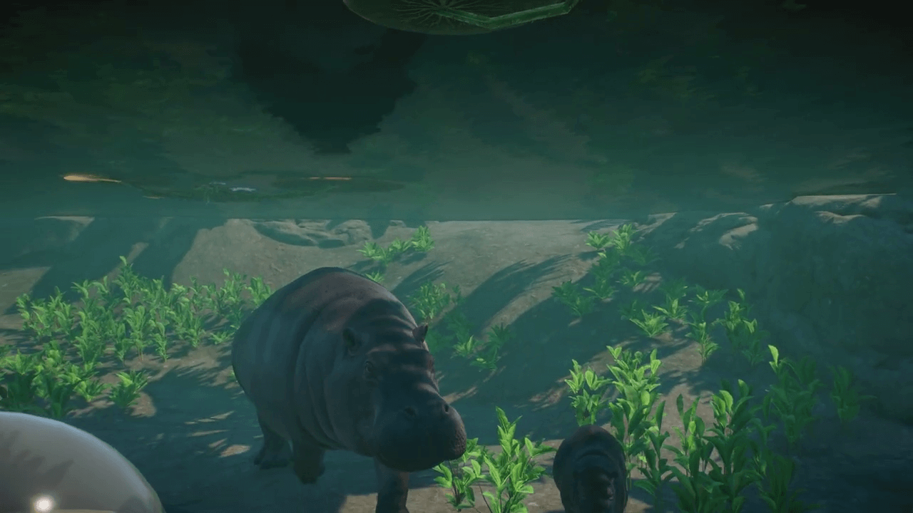 Planet Zoo