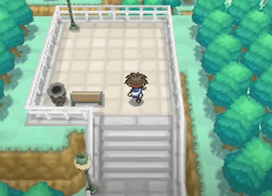 Pokemon Black And White